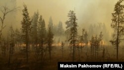 Фильм Максима Пахомова