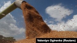 Иллюстрациялык сүрөт