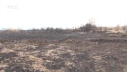 Тору-Айгырдагы токой күлгө айланды