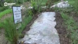 Таджикистанехь тIаьхьалонна кешнаш доху, тIаккха уьш дIакъовлу телатаца