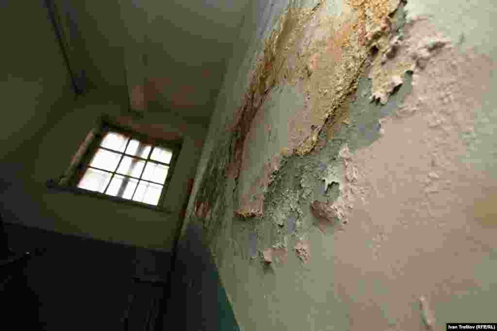 Новые крепостные или жизнь на конюшне. Грибок везде - и в квартирах, и в подъезде