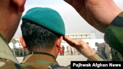 Иллюстрациялык сүрөт