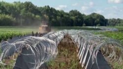 Брянское дело 