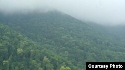 Հայաստան - Անտառ Լոռու մարզում, արխիվ