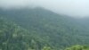 Armenia -- Teghut forest in Lori province.