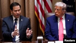 مارکو روبیو و دونالد ترامپ در جلسه دولت آمریکا، ۲۱ فروردین