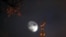 Russia -- The moon is seen behind the crescent of the Yaroslavl Central Mosque, 29Nov2012