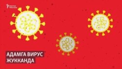Адам канча вирусту көтөрө алат?