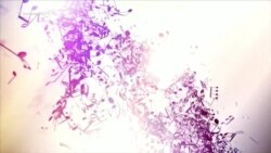 Կախարդական Սրինգ.Ազատության համերգասրահ