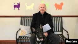 Байден разом зі своїм псом Мейджором