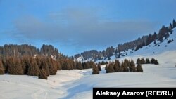 Виды урочища Кок-Жайляу. Алматы, 18 февраля 2013 года.   
