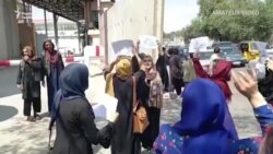 «Талібан» розігнав протест жінок у Кабулі (відео)