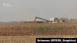 ДП отримує гроші від приватної компанії за використання землі, на якій воно вирощує ту чи іншу культуру, і під час збору урожаю віддає її у приватні руки