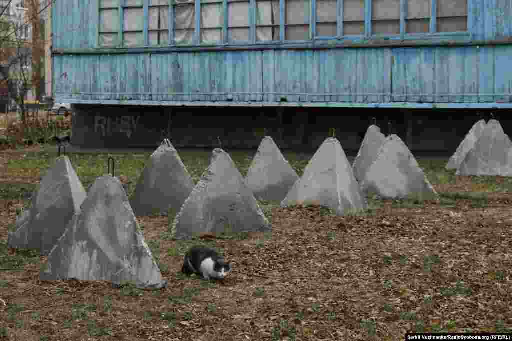 У цьому районі міста розставили так звані &laquo;зуби дракона&raquo;, зустрічаємо кота і насипаємо йому сухого корму. У місті ще відносно багато людей і безпритульних котів й собак люди підгодовують&nbsp;