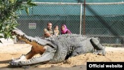 پرورش تمساح در قشم. عکس از وبسایت نوپک