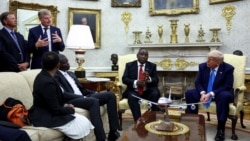 Медвежья услуга