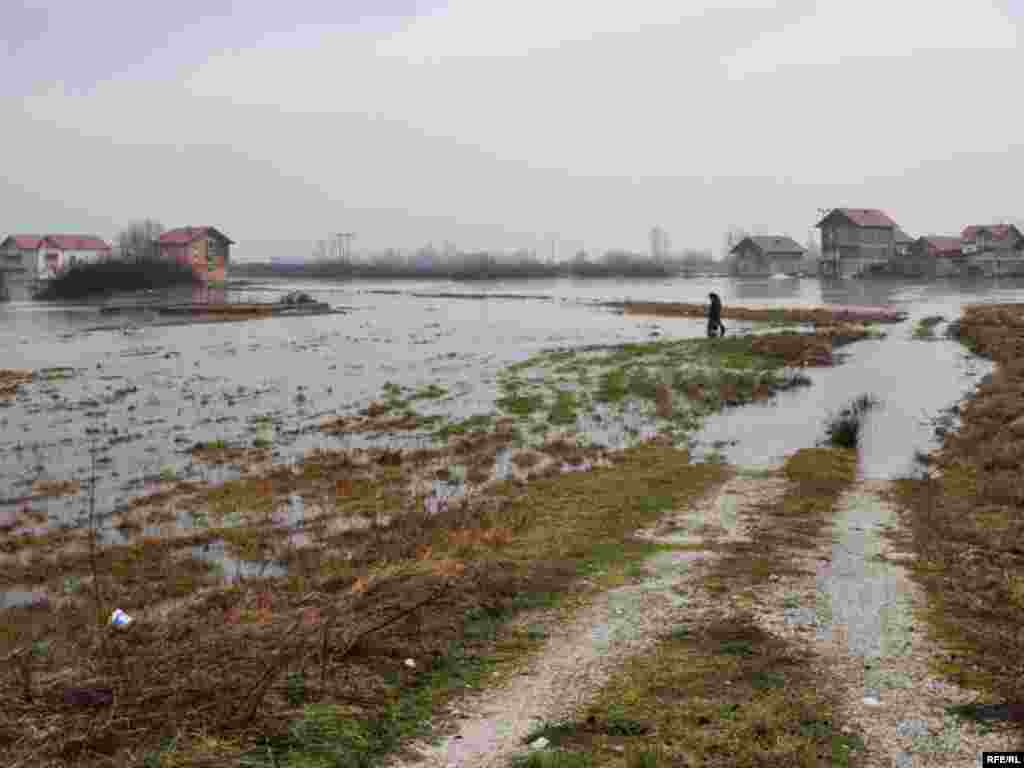 FOTOGRAFIJE: MIDHAT POTUROVIĆ