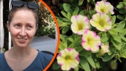 Війна, вибухи і квіти: історія квіткарки з Чорнобаївки (відео)