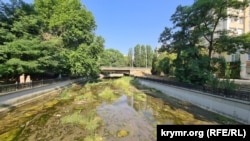 Зневоднений і заростаючий рослинністю Салгир у районі Центрального автовокзалу Сімферополя, липень 2025 року