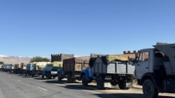 Խաղողի բերքն առատ է, բայց ոչ բոլոր գործարաններն են մթերում