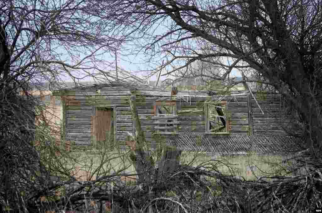 Зарарлы төбәктә ташландык авыллар. Баштагы нурланыш тереклекнең шактый өлешен кырды. Соңрак бу кешесез урыннарга табигать кайтты. Кыргый хайваннар зарарланган булса да, гомумән, сәләмәт. Беларус бу төбәкне табигый сакланма дип игълан итте. Украина да шулай итергә җыена.