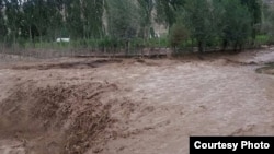 Иллюстрациялык сүрөт. 