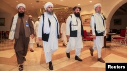 Qətər-Taliban hərəkatının nümayəndələri Dohada.  12 avqust, 2021. 