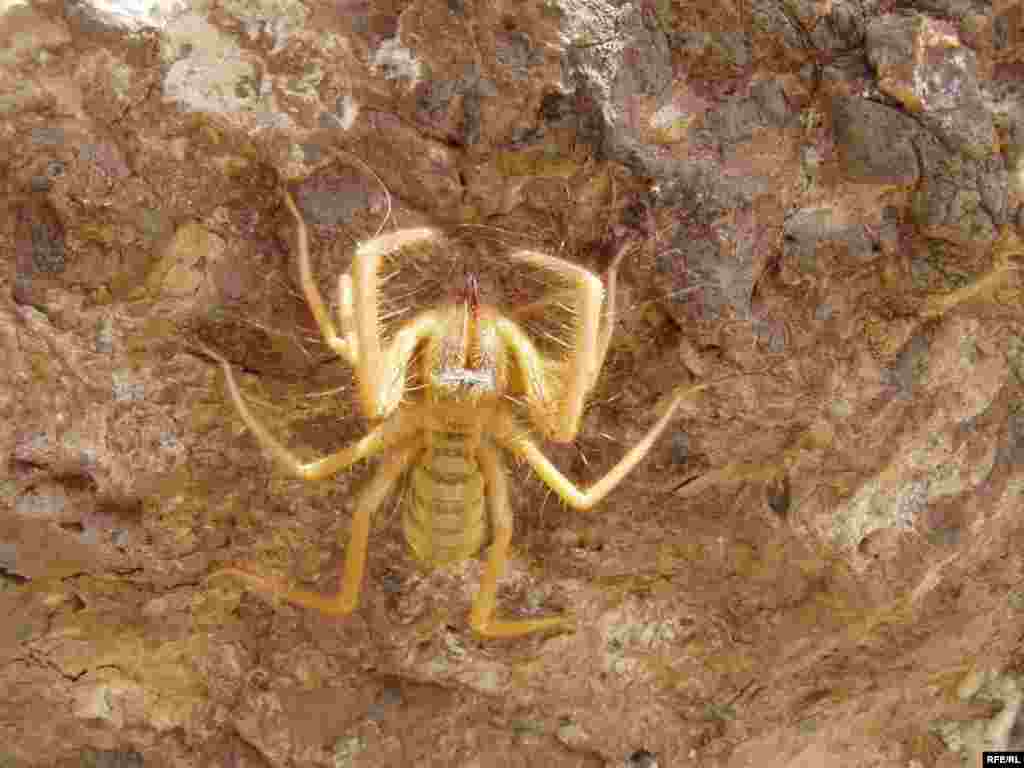 Как спасти издание от банкротства #2