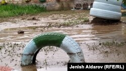 Иллюстрациялык сүрөт. 