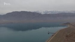 Төрткүл: премьердин табышмактуу сөзү элди ойлонтту