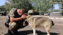 Прифронтова зона під час перемир'я