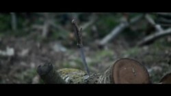 Бахше аз филми мустанад дар бораи миллатгароҳои рус