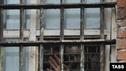 Иллюстрационное фото