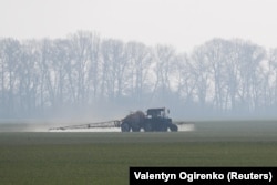Сільськогосподарський робітник веде трактор, розкидаючи добрива на полі озимої пшениці поблизу села Гусачівка в Київській області, Україна, 17 квітня 2020 року