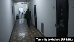 Иллюстрациялык сүрөт.