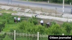 Жиззахдаги умумхалқ ҳашарларидан бири пайтида олинган сурат.