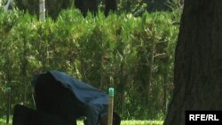 Ўзбекистон қамоқхоналарида саждага эгилган бош ҳам жиноят исботи деб кўрилади¸ дейди ҳуқуқ фаоллари.