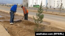 Aşgabat. Bag ekýän işçiler. 