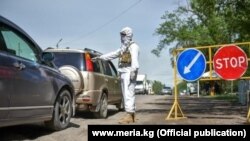 Иллюстрациялык сүрөт. 