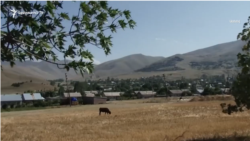 Ջրաշենի վարչական ղեկավարը, Սպիտակի դատարանի դատավորն ու նրա օգնականը դատարանի առաջ են կանգնել