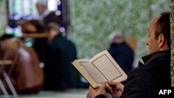 По данным международных организаций, в действительности течения под названием «Джихадисты» не существует.  