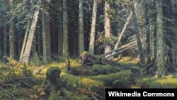 Іван Шышкін, «Буралом» (1888).