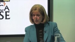 Перед активістами і студентами виступила американський експерт Павлина Добрянська (відео)