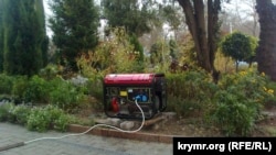 Иллюстрационное фото