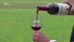 США вводять мита на італійський сир, французьке вино та низку інших європейських продуктів – відео