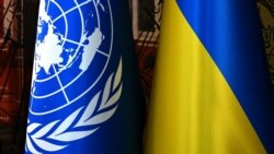 Կոնգրեսականներն առաջարկում են Ռուսաստանին հեռացնել ՄԱԿ-ի Անվտանգության խորհրդից