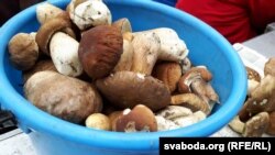 Грыбы, якія прадавалі сёлета ў Гомелі
