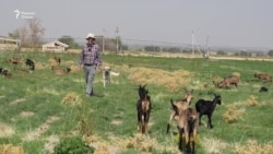 “Аз имкониятҳои Тоҷикистон истифода барем, муҳоҷир шудан даркор нест”