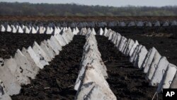 Оборонительные сооружения, которые также называют "зубами дракона"