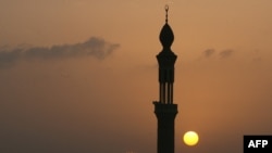 İdeyanın təşəbbüsçüləri hesab edirlər ki, minarələr şəriətin simvoludur və bu da İsveçrə demokratiyası ilə biraraya sığmır